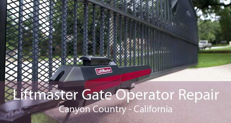 Liftmaster Gate Operator Repair Canyon Country - California